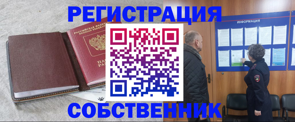 временная регистрация надежно в Курске